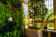 Symonds Green orangery installation